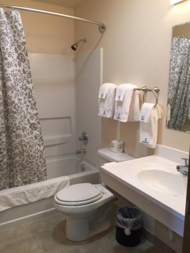 a bathroom with a toilet and a sink and a shower at Geyser Inn in West Yellowstone