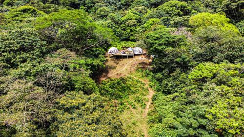 比亞維森西奧的住宿－Itawa Family Glamping & Ecoparque turístico，一群站在森林中间的人