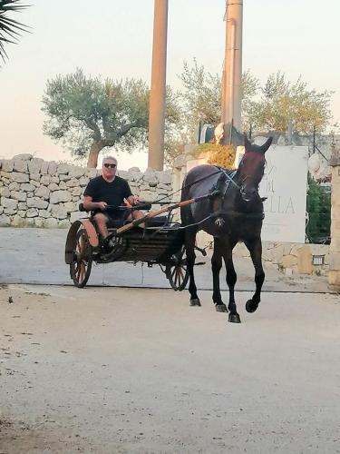 a man riding in a horse drawn carriage at Mirella Charming in Alberobello