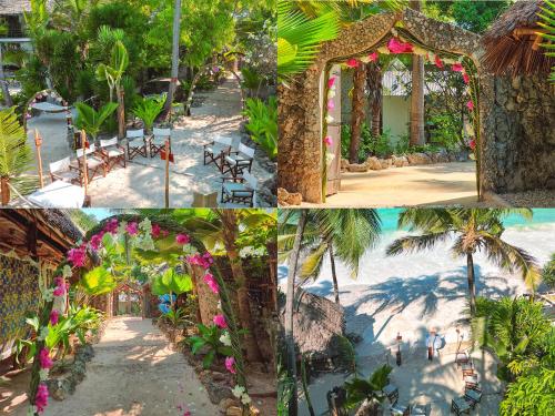 a collage of photos of a resort with flowers at Boutique Hotel Matlai in Michamvi