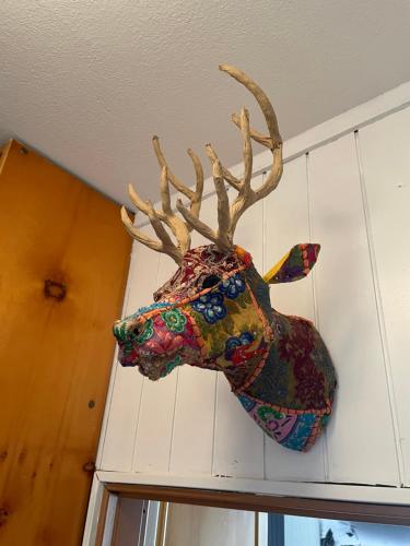 a deer head with antlers hanging on a wall at Appartamento Kern-Sciare A Portata Di Mano- in Madesimo