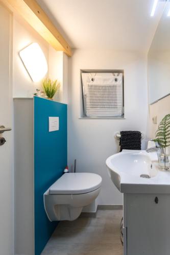 a bathroom with a toilet and a sink at Saale Glück in Unterwellenborn
