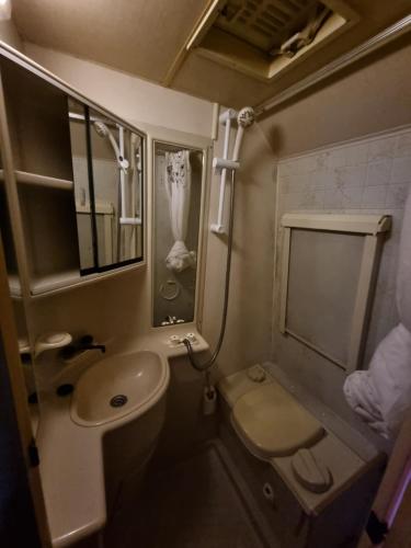 a small bathroom with a toilet and a sink at Mehefin Coed c/o llwyn Celyn in Whitechurch