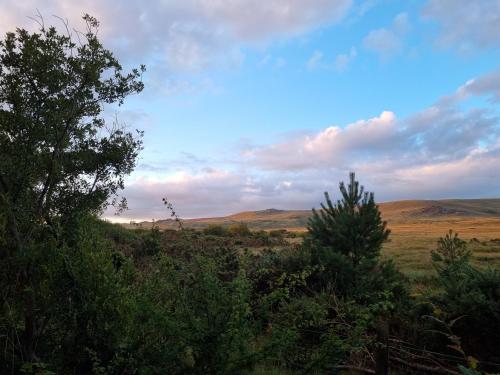 a view of a field with trees and hills at Mehefin Coed c/o llwyn Celyn in Whitechurch