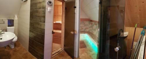 ストロニエ・シロンスキエにあるDom pod Wilczyńcemのバスルーム(シャワー、スイミングプール付)