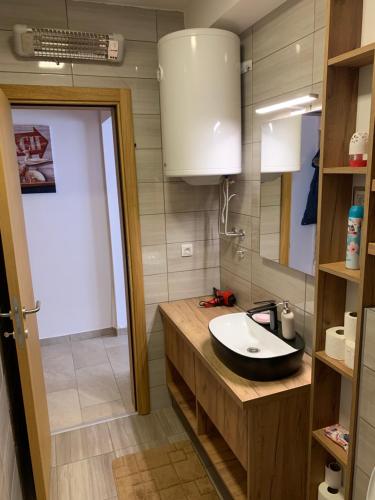 y baño con lavabo y espejo. en Apartman NS Zlatibor en Zlatibor