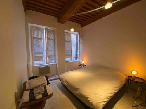 a bedroom with a large bed and two windows at Old town - Vieux Lyon -50 m2 flat in Lyon