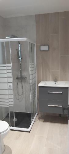 ein Bad mit einer Dusche, einem Waschbecken und einem WC in der Unterkunft LE REFUGE DES CASCADES in Vernet-les-Bains