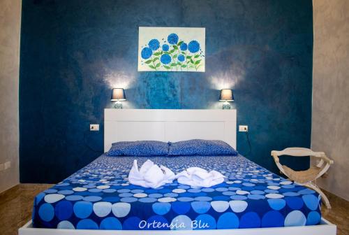 Ortensia blu – Photos 3