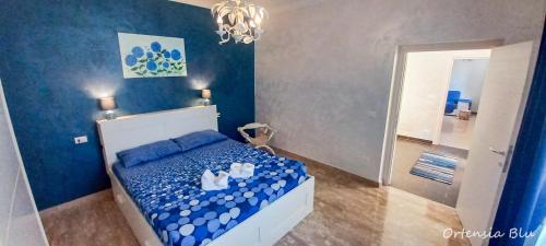 Ortensia blu – Photos 2