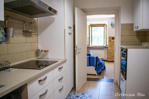 Dapur atau dapur kecil di Ortensia blu