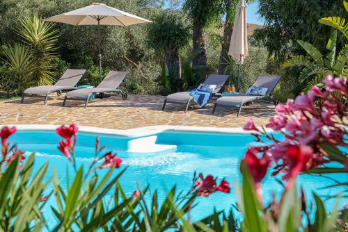 Finca verde de la luz