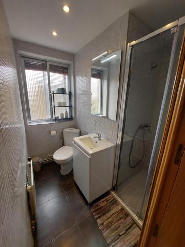 La salle de bains est pourvue de toilettes, d'un lavabo et d'une douche. dans l'établissement Alia, à Madrid