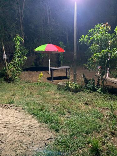 a picnic table with a colorful umbrella in a field at Shrushtiban farms in Dhamni
