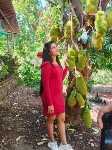 a woman in a red dress standing next to a tree at Shrushtiban farms in Dhamni