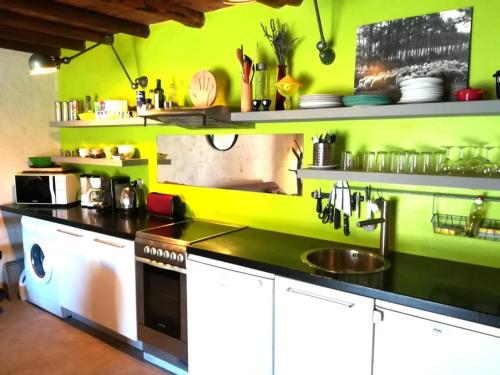 a kitchen with lime green walls and a sink at Mas La Rainette chez Raphaël in Valleraugue
