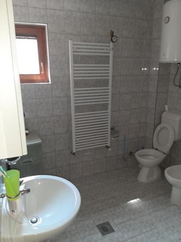 a bathroom with a sink and a toilet at SARAJEVO APARTMENT in Sarajevo