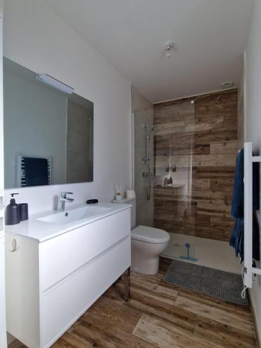 a bathroom with a sink and a toilet and a shower at Casa Del Mar Parking Jardin Plage in Sainte-Marie-la-Mer