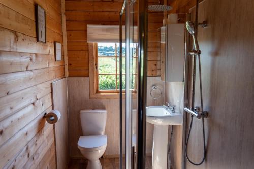 a bathroom with a shower and a toilet and a sink at Pastures Green Cabin (Oak Tree Lane) in Okehampton