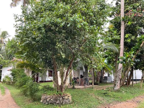 Taman di luar Bird Villa