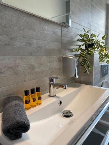 a bathroom sink with two bottles of essential oils on it at Vila Moga in Sînmartin