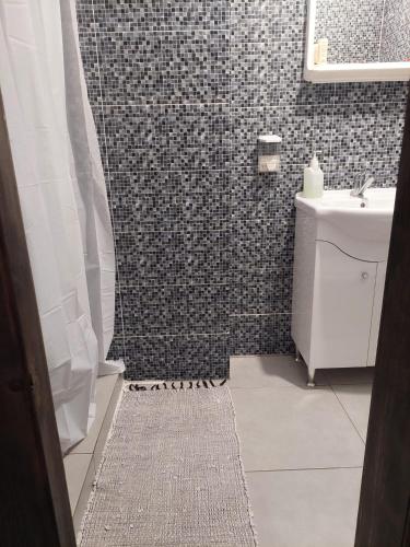 a bathroom with a shower with a sink and a toilet at Casa de Piatra in Socolari