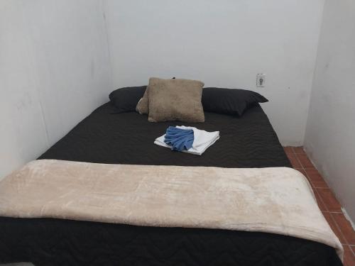 阿雷格里港的住宿－Vila das flores，一张带黑色棉被和毯子的床