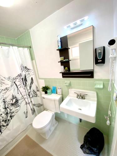 a bathroom with a sink and a toilet and a mirror at Snowdon Chalet Motel in Londonderry
