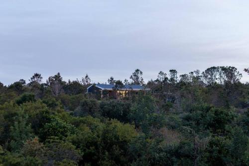 a house on top of a hill with trees at The Surfers Bush Cabin in Jeffreys Bay