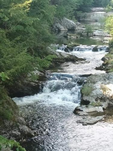 a river with rapids on the side of a forest at Casa Anne in Băile Herculane