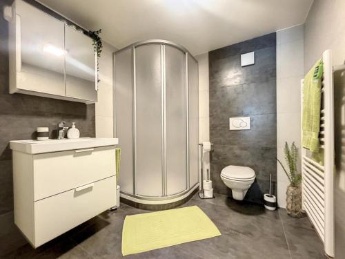 uma casa de banho com um chuveiro e um WC. em Appartement moderne avec terrasse et piscine à Châtel sur Bex em Bex