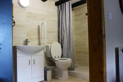 a bathroom with a toilet and a sink and a shower at Deepmoor Farmhouse, Doveridge, Derbys. in Doveridge