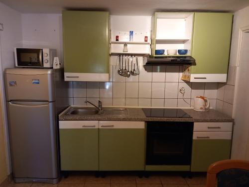 cocina con armarios verdes, fregadero y nevera en Leo, en Makarska