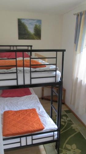 two bunk beds in a room with a window at Idylle in ländlicher Umgebung in Weitenhagen