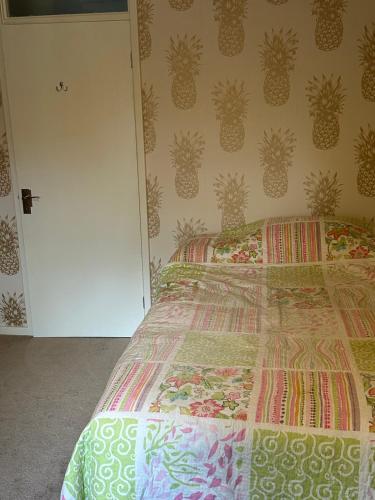 a bedroom with a bed with a pineapple wall at Double Room Rent in Birmingham