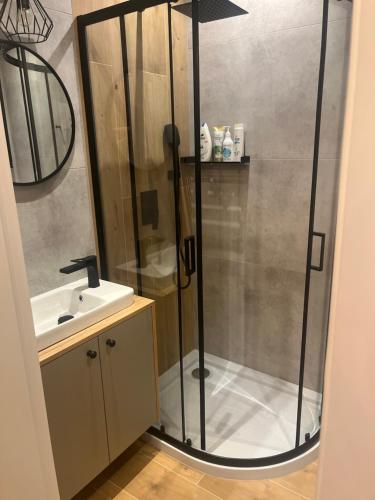 uma casa de banho com um chuveiro e um lavatório. em Apartament Moja Klonova em Kielce