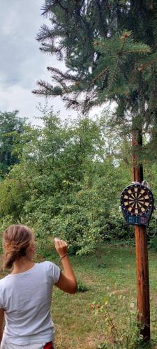 a woman is looking at a bird feeder on a pole at Fruškogorska kuća - Andrevlje lounge, naselje Testera in Čerević
