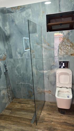 uma casa de banho com um WC e uma parede de vidro em Vila Alba em Korçë