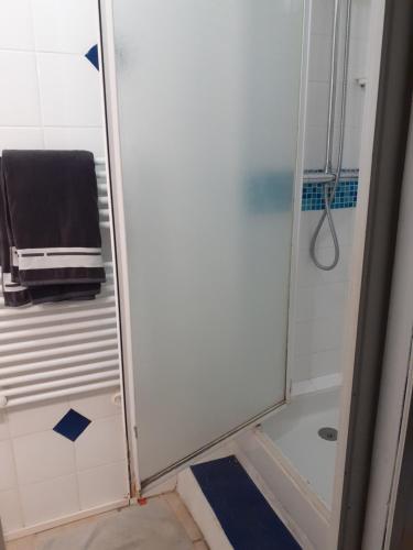 a shower with a glass door in a bathroom at petit studio a la campagne , prévenir entre 3 et 4 heures avant l'arrivée in Gonfaron
