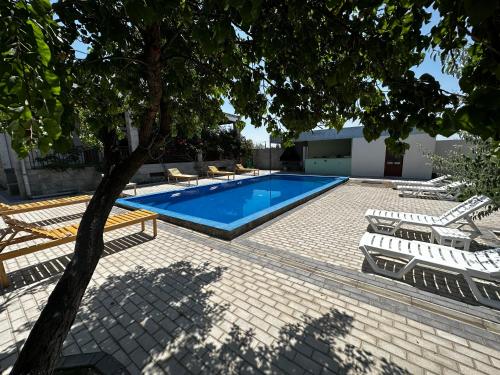 a swimming pool with lounge chairs and a tree at Home Martiros in Vagharshapat