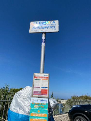 Ponzamania Riccio di mare – Photos 2