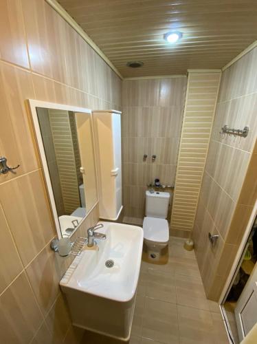 een badkamer met een wastafel, een toilet en een spiegel bij Studio apartment in Jechegnadzor