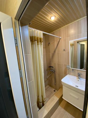 uma casa de banho com um lavatório e um chuveiro em Studio apartment em Yeghegnadzor