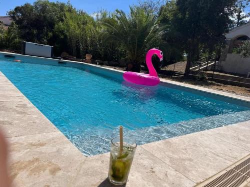 a pink flamingo in a swimming pool with a drink at Maison de vacances in Ventiseri
