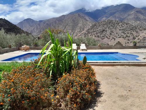 une piscine avec des montagnes en arrière-plan dans l'établissement Dar Tamounte, à Tagadirt nʼBour