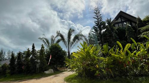 a dirt road with some palm trees and a house at Quiet LakeHouse Appartement on Memory Beach road in Khao Lak