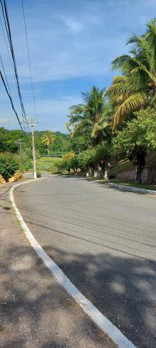 an empty road with palm trees on the side at Golden Meadows Oasis in Golden Spring