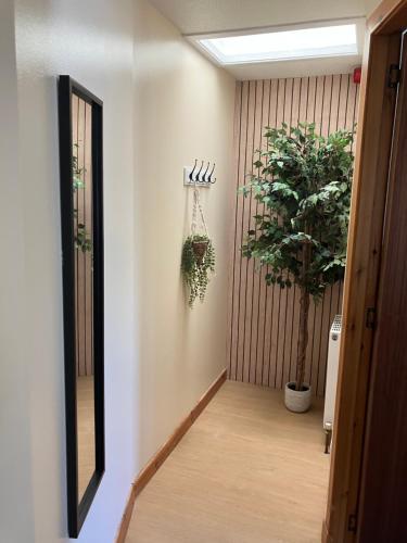 a hallway with a mirror and a potted plant at City Centre Self-contained Studio in Aberdeen