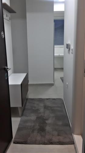Habitación con baño con lavabo y alfombra. en Mia DM Apartment, en Skopje