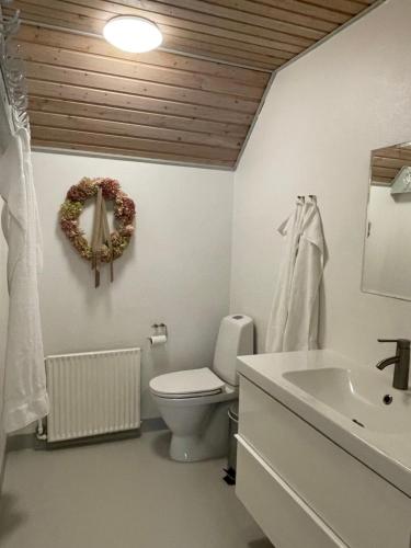 a bathroom with a toilet and a sink at Landligt ophold på Midtgård in Vamdrup